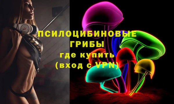 мет Кинешма