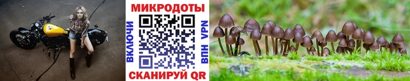 Галлюциногенные грибы мухоморы  Купить где  Жуков 